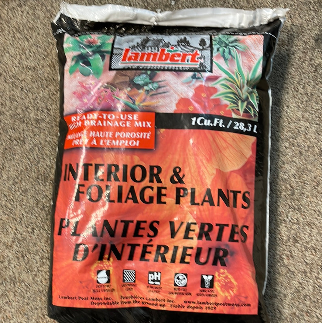 Lambert interior &Foliage Plant Soil