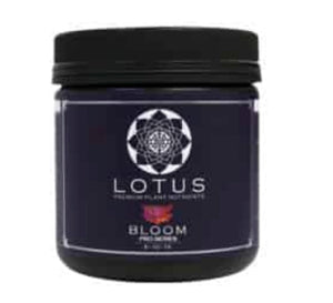 Lotus Bloom Pro Series 5-10-14