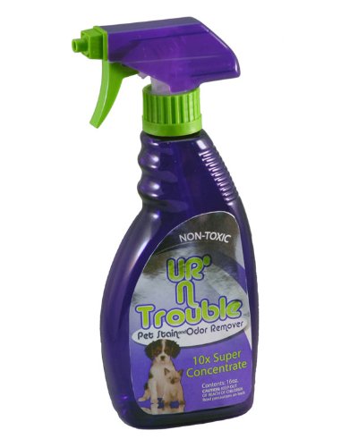 UR'N Trouble Pet Stain and Odor Remover